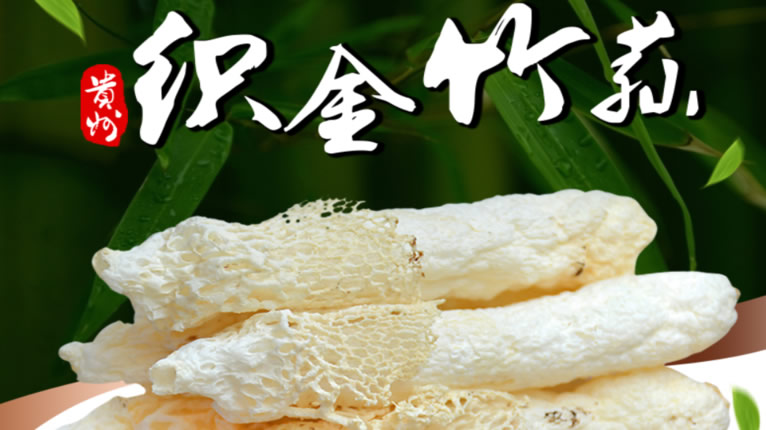 织金竹荪