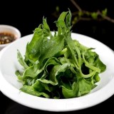 非洲冰草