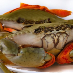 青蟹品牌榜