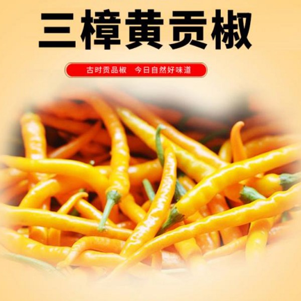 三樟黄贡椒