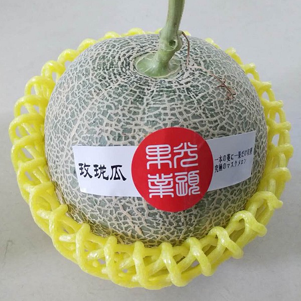 三亚甜瓜