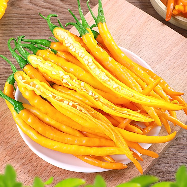 三樟黄贡椒详细介绍:特点 历史 鉴别 - 衡东特产 - 特色谷