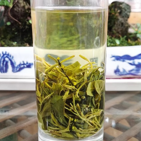 歙县珠兰花茶详细介绍:特点 历史 - 歙县特产 - 特色谷