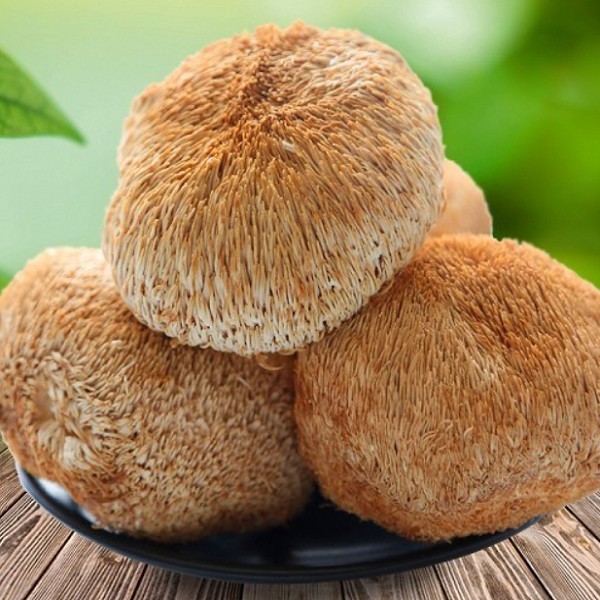 盛耳猴头菇150g