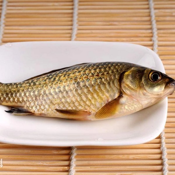 辽中鲫鱼
