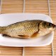 银川鲤鱼