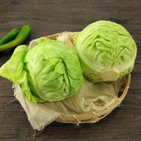 火烧坪包儿菜详细介绍：特点 历史 - 长阳特产 - 特色谷