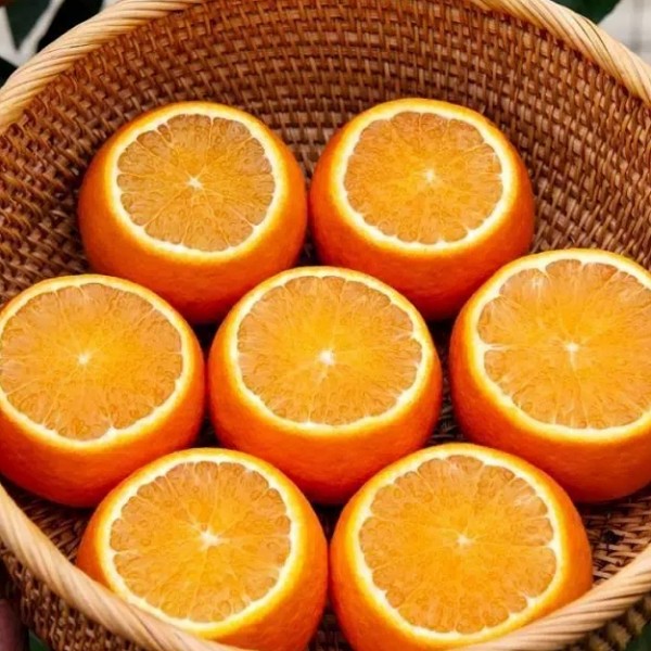 温岭高橙详细介绍:特点 历史 - 温岭特产 - 特色谷
