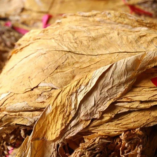 玉溪烟叶详细介绍:特点 历史 - 玉溪特产 - 特色谷
