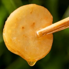 昭通天麻蜜片