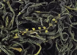 歙县珠兰花茶质量技术要求暨珠兰花茶的栽培加工规范