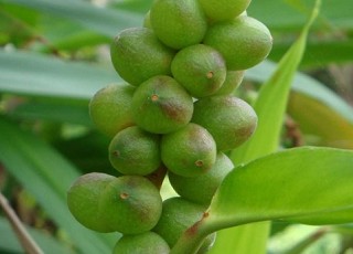 大八益智质量技术要求即加工工艺详解