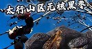 涉县黑枣