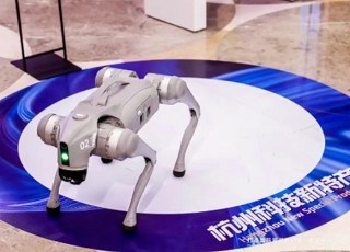 杭州“科技新特产”：让未来感成为城市新名片