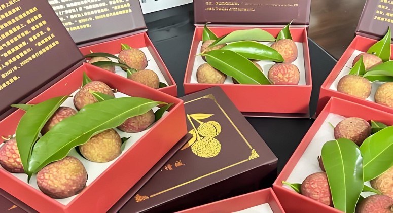 增城挂绿荔枝