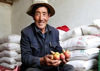 红叶映山野，红薯香满村——登封“民宿+”激活乡村振兴新动能