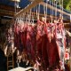 宁化田鼠干