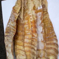 天全笋干