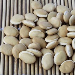 菱湖白扁豆