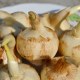 连城慈菇