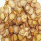 吉林鹿茸