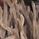 吉林鹿茸