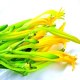 仙居黄花菜