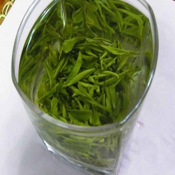 官司云雾茶