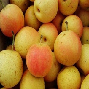 鞍山南果梨品牌榜