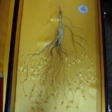 宽甸石柱参