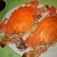 东港梭子蟹