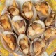 东港大黄蚬