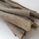 罗定肉桂