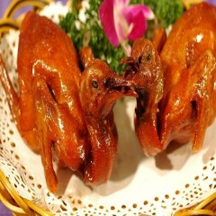 石岐鸽