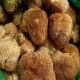 黑龙江猴头菇