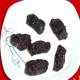东阳南枣