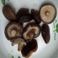 通江香菇