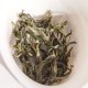 云海白毫