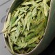 乌牛早茶