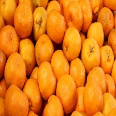 衢州柑橘
