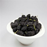 陵县桑椹