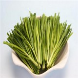 西陕韭菜