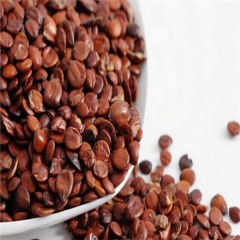 邢枣仁