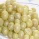 鸡皮果