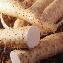 金田淮山