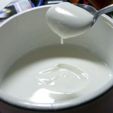 自酿酸奶