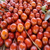 蒙自小红枣