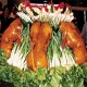 盘江狗肉