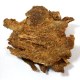 剑河古藏头牛肉干