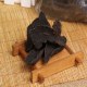 施秉何首乌